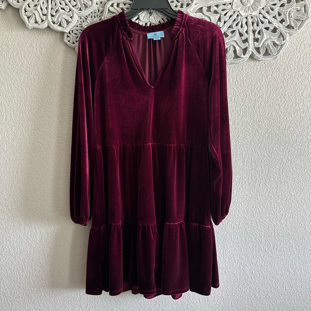 CeCe Velvet Dress - Picture 2 of 3